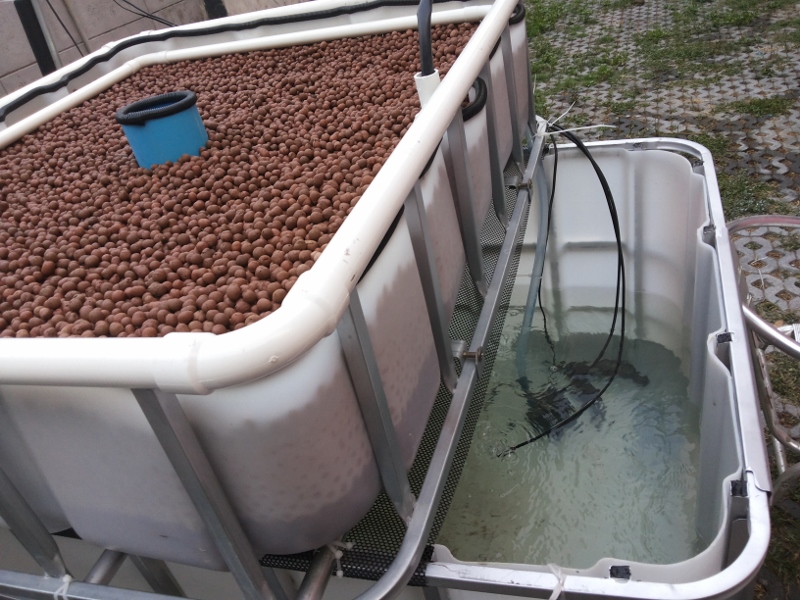 2014-03-10 17.55.56 (800x600).jpg