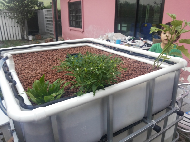 2014-03-11 18.23.15 (800x600).jpg