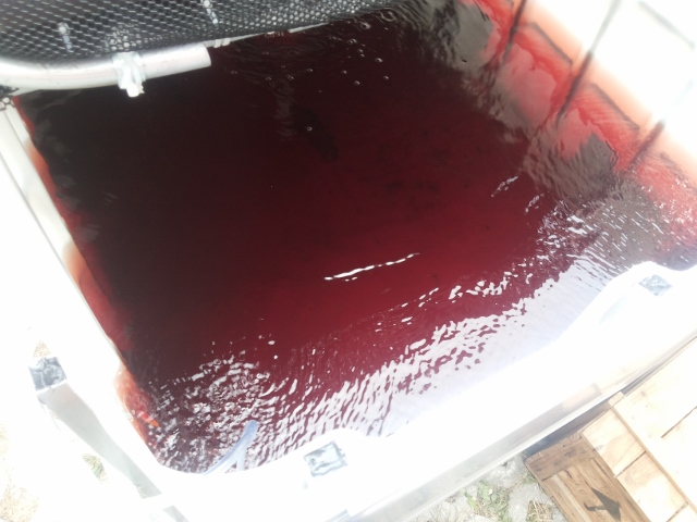 2014-03-17 14.04.03 (640x480).jpg