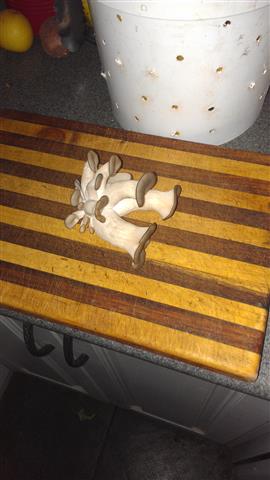 2014-03-15 09.31.45 (Small).jpg