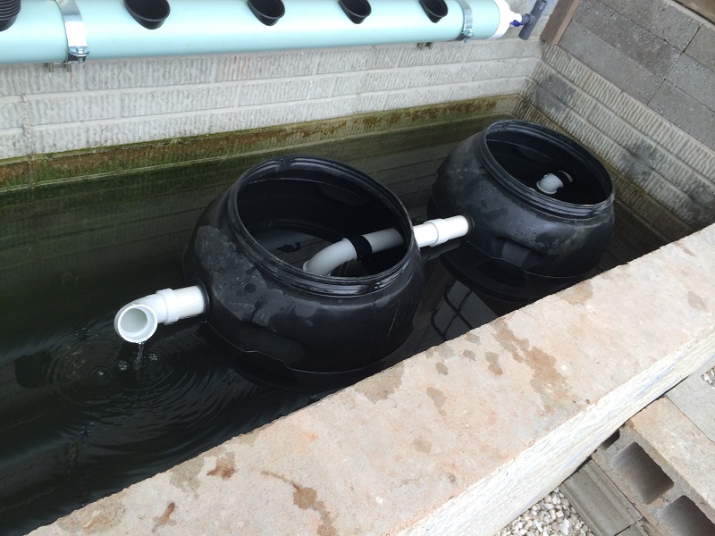 Swirl and Bio Filters.jpg