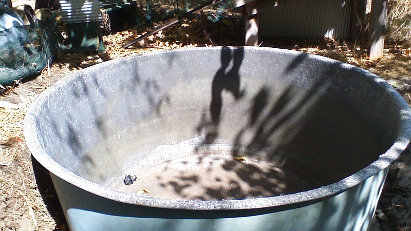 picture005 resized.jpg