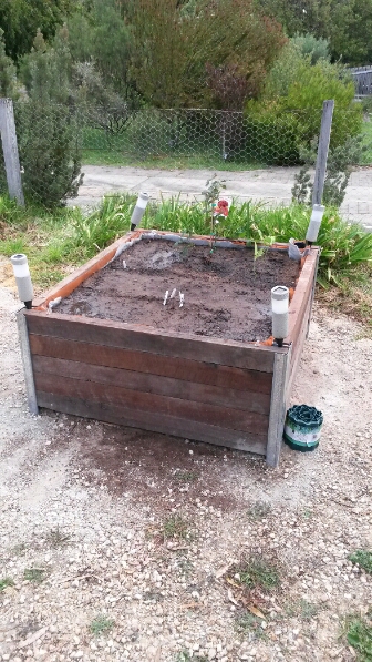 Wicking bed done dirt cheap.jpg
