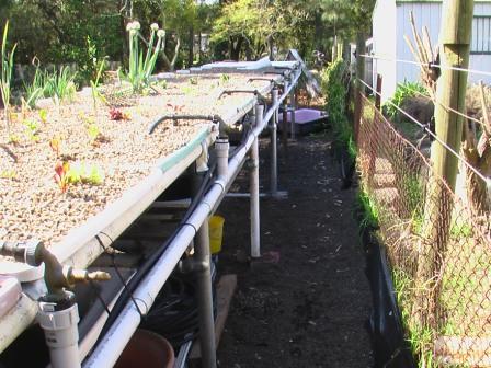 double deck tubs 001.jpg