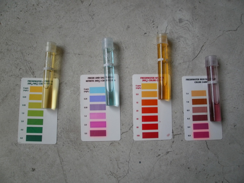 water test 002.JPG