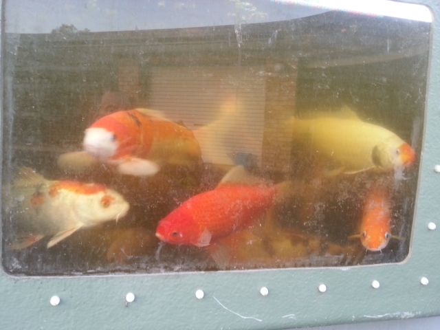 2013-11-02 06.12.59 LR.jpg