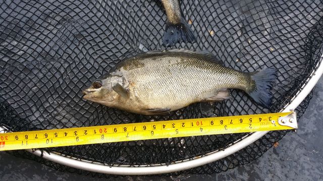 2014-03-29 12.17.58LR.jpg