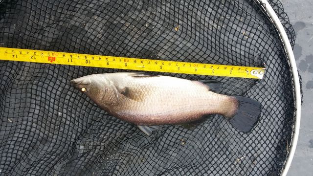 2014-03-29 12.12.54LR.jpg