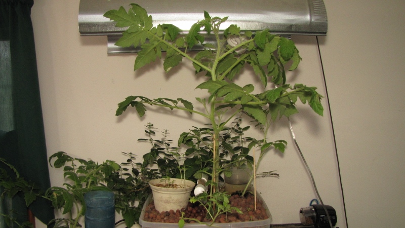 IMG_9587 (800x450).jpg