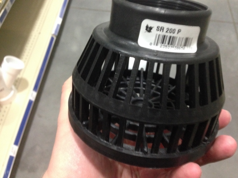 IMG_1399 (800x600).jpg