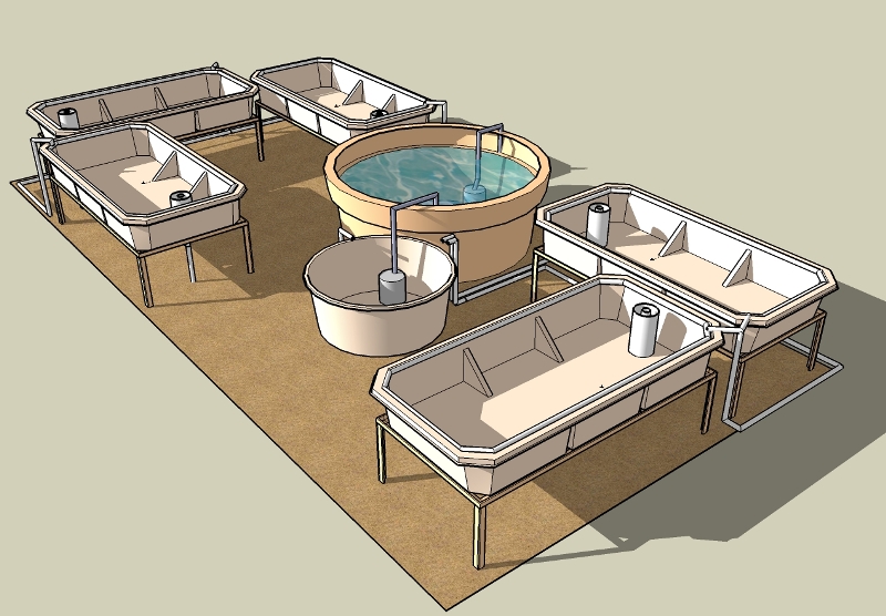 C1 Aquaponics.jpg