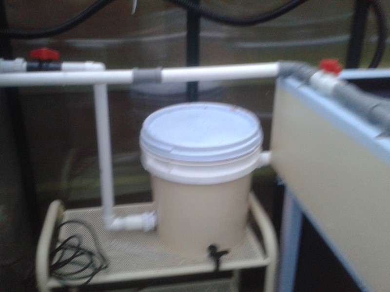 2014-03-31 19.29.57.jpg