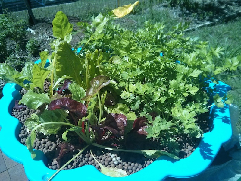 IMG_20140401_114154 copy.jpg