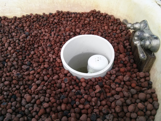 project2a - Copy.jpg