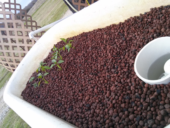 project3a - Copy.jpg