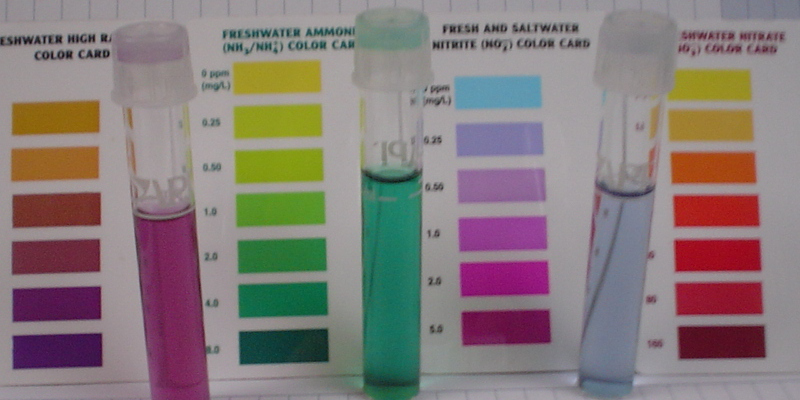 Pond Nutrients Sept 26'07.jpg