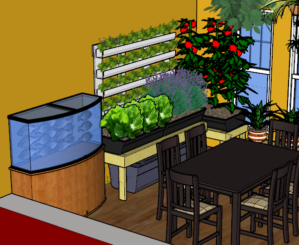 MSA-KitchenAquaponics.PNG