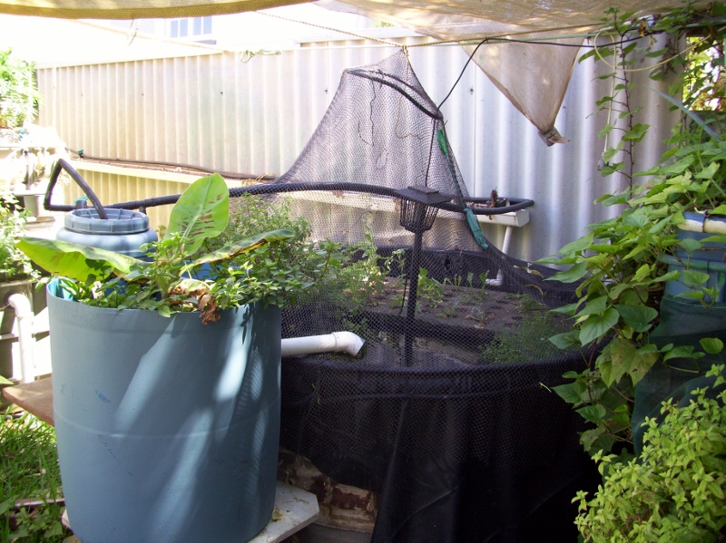 100_0360 (800x599).jpg