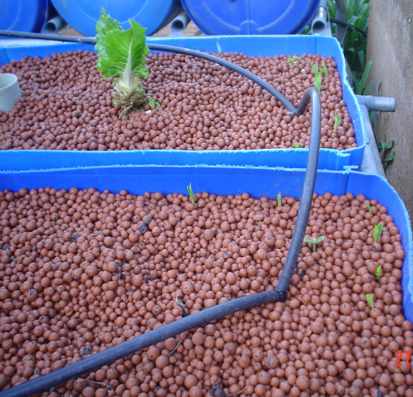 Grobed 1 Sept 27'07a.jpg