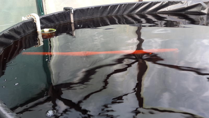 2014-04-13 07.45.20.jpg