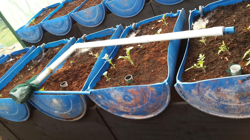 2014-04-13 07.46.08.jpg