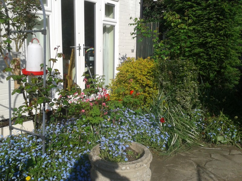 2014-04-13 16.52.44.jpg