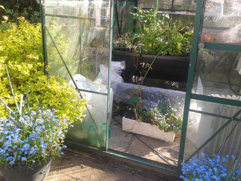 2014-04-13 16.55.57.jpg