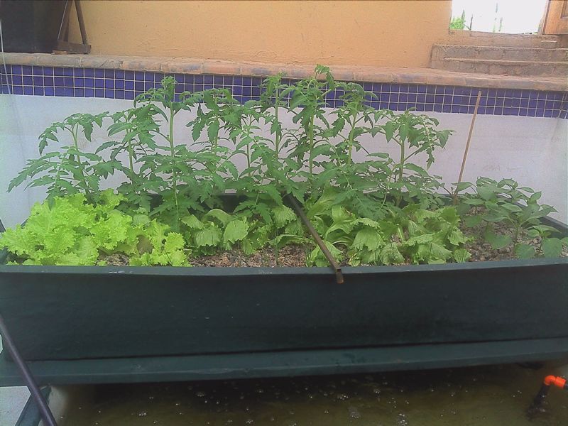 Large system 20140315.jpg