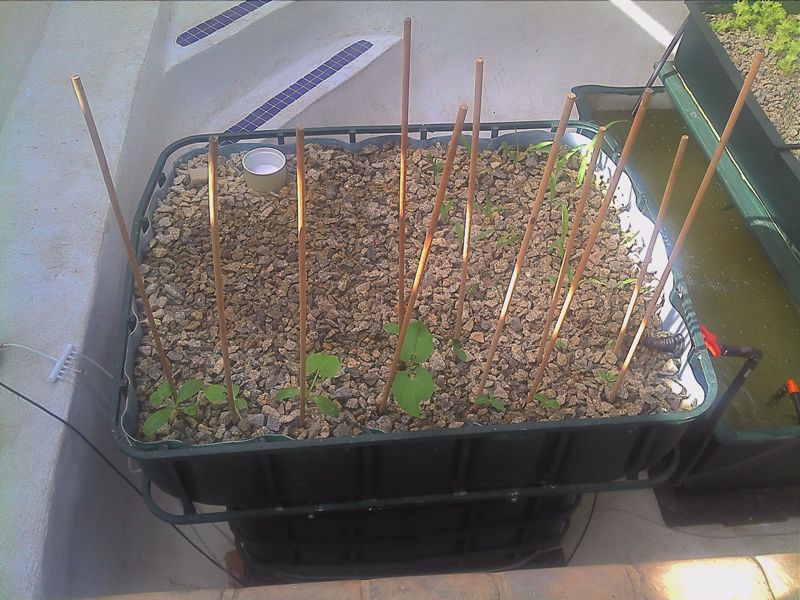 IBC system 20140227.jpg