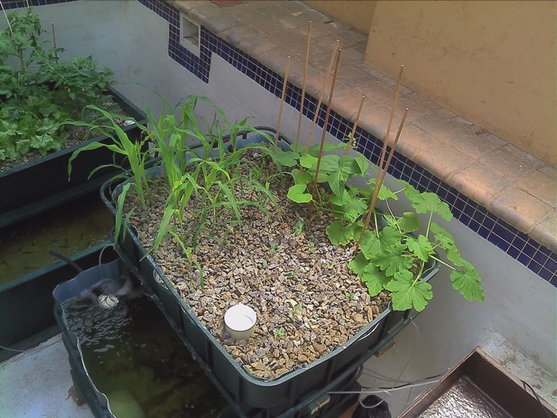 IBC System 20140321 1.jpg