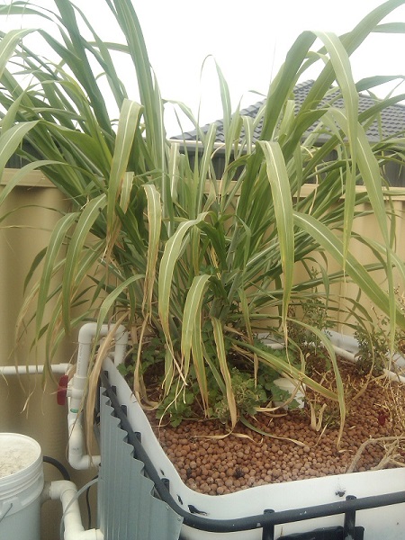 2014-04-16 11.40.03.jpg