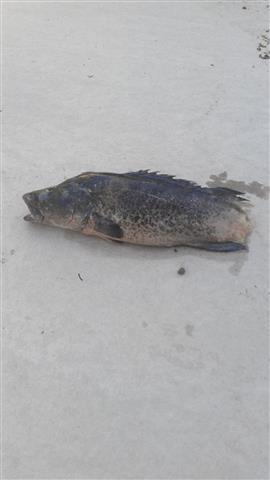 2014-04-17 16.25.06 (Small).jpg