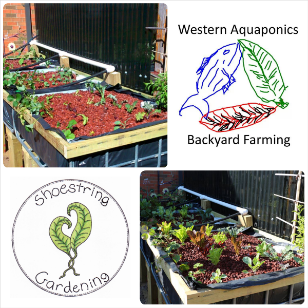 PhotoGrid_1397730280876 e.png