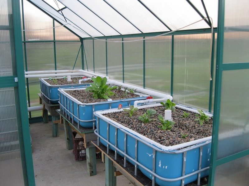 Growbeds 18Apr14.jpg