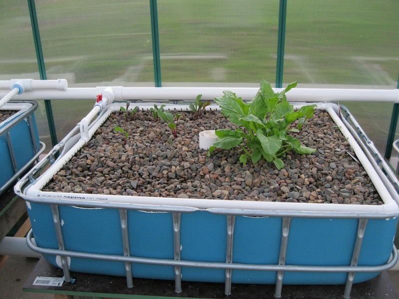 Growbed 2 18Apr14.jpg