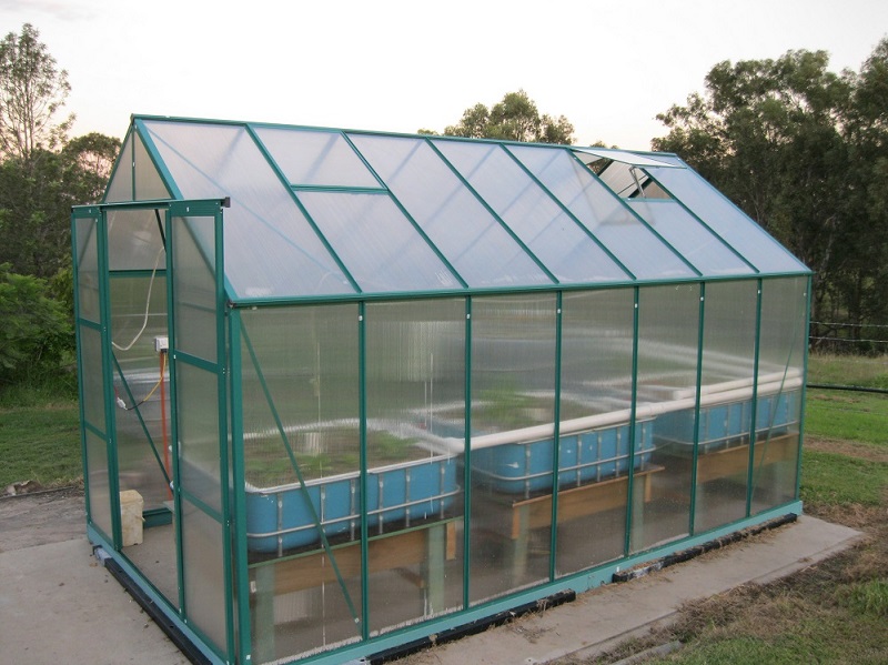 Outside view of growbeds.jpg