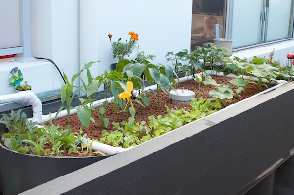 Water Tank Aquaponics 09022014 007.jpg