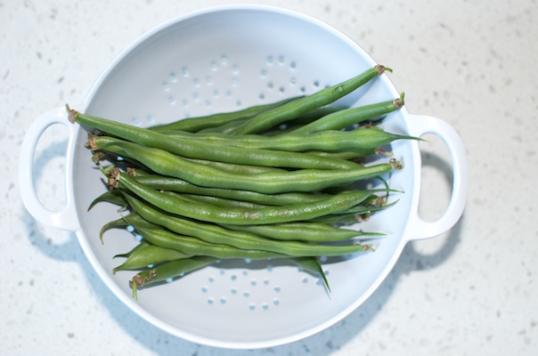 Water Tank Aquaponics 10032014 019.jpg