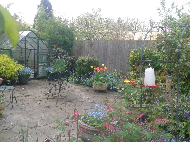 2014-04-21 12.55.59.jpg