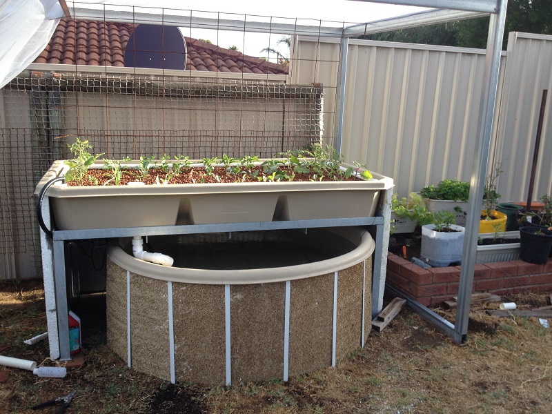 IMG_0795 Resized.jpg