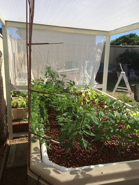 IMG_0896 Resized.jpg