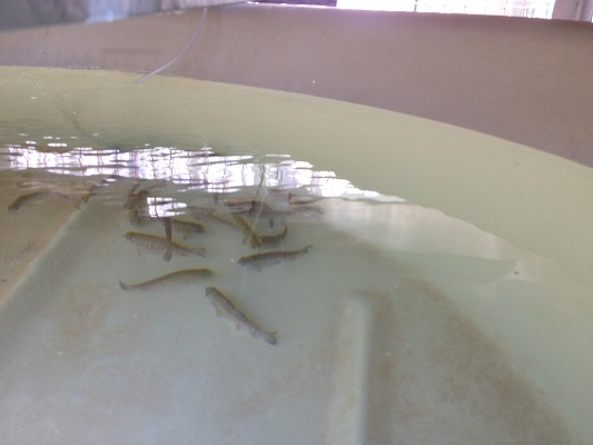 IMG_0798 Resized.jpg