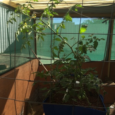 IMG_0905 resized.jpg