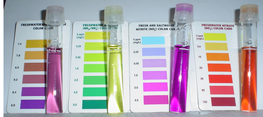 BYAP NutrientsSept30'07.jpg