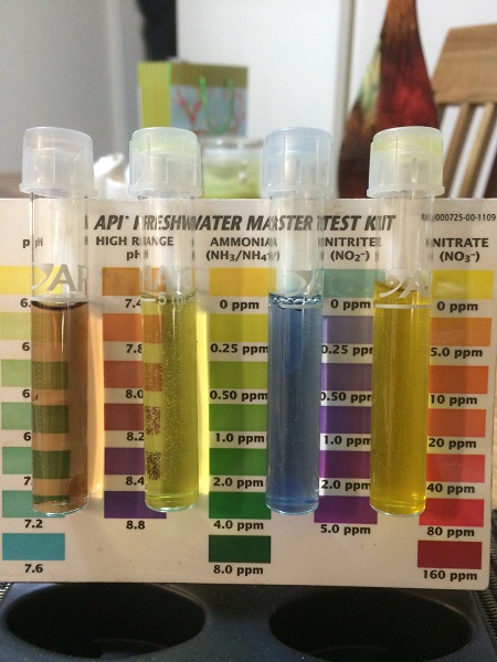 IMG_0928 Resized.jpg