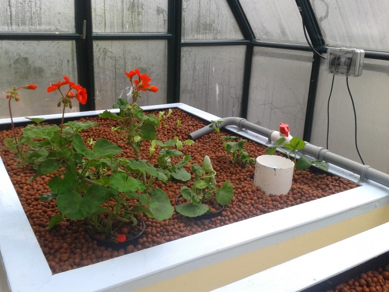 2014-04-25 15.28.32.jpg