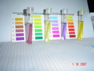 BYAP NutrientsOct 01'07.jpg