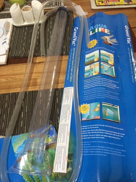 IMG_0945 resized.jpg