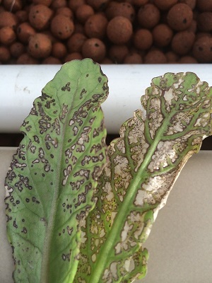 IMG_0948 resized.jpg