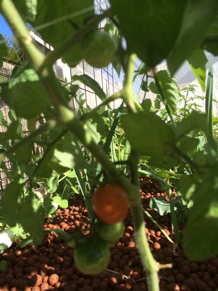 IMG_0936 resized.jpg